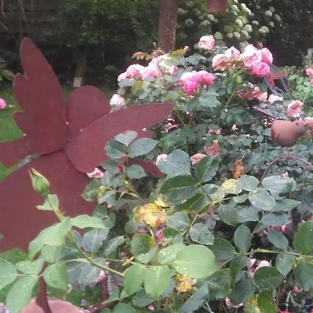 „lebenslust“ Apartman *