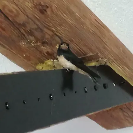 „lebenslust“ Apartmán